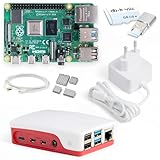 Raspberry Pi 4 4 Go Starter Kit | Alimentation Officielle 15W | Boîtier Officiel | Carte mémoire de 64 Go | Câble 4k Micro HDMI | Kit dissipateur Thermique