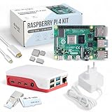 Raspberry Pi 4 4 Go Starter Kit | Alimentation Officielle 15W | Boîtier Officiel | Carte mémoire de 64 Go | Câble 4k Micro HDMI | Kit dissipateur Thermique
